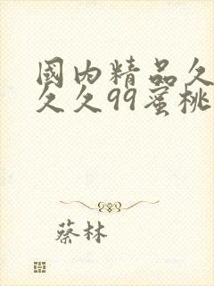 国内精品久久久久久99蜜桃