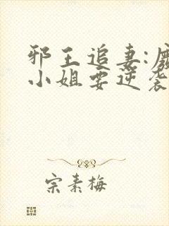 邪王追妻:废柴小姐要逆袭完整阅读封面