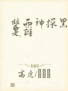 双面神探黑龙王是谁