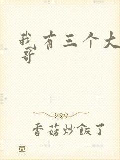 我有三个大佬哥哥封面