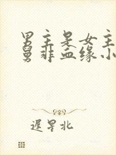 男主是女主的舅舅非血缘小说