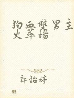 狗血双男主追妻火葬场