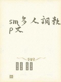 sm多人调教np文