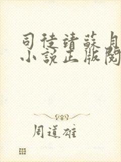 司徒靖苏月汐的小说正版阅读封面