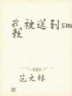 我被送到sm调教