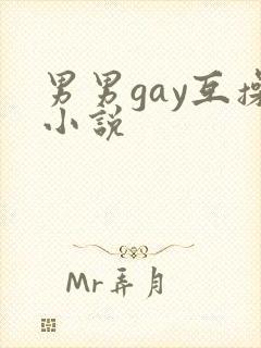 男男gay互操小说封面