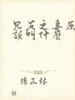 兄友之妻原著小说叫什么