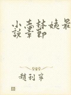 小志林姨最新小说章节