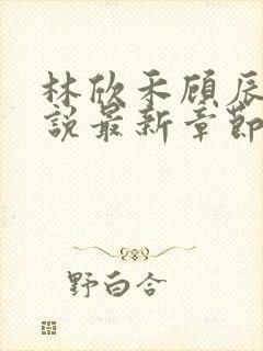 林欣禾顾辰昀小说最新章节免费阅读封面