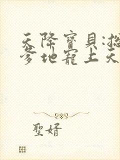 天降宝贝:总裁爹地宠上天