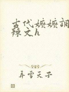 古代嬷嬷调教肉辣文h