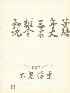 和离三年萧清濯沈令柔大结局