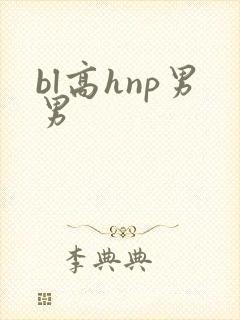 bl高hnp男男