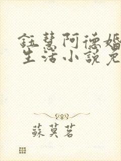 钰慧阿德婚后的生活小说免费阅读封面