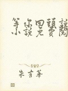 等你回头说爱我小说免费阅读全文