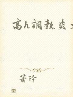 高h调教爽文封面