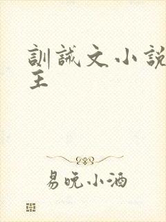 训诫文小说双男主