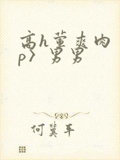 高h荤爽肉〈np〉男男