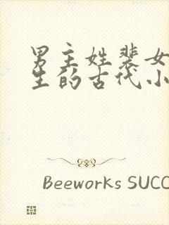 男主姓裴女主重生的古代小说