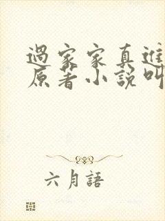 过家家真进去了原著小说叫什么名字