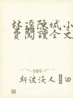 林瑶陈城小说免费阅读全文最新章节