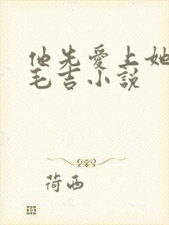 他先爱上她by毛吉小说