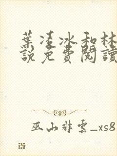 叶凌冰和林凡小说免费阅读全部章节