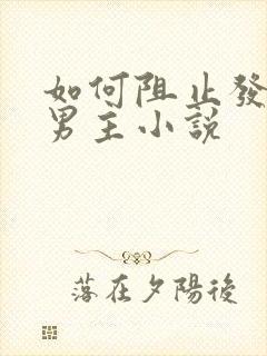 如何阻止发疯的男主小说封面