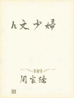 h文少妇