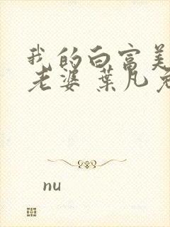 我的白富美总裁老婆 叶凡免费阅读封面