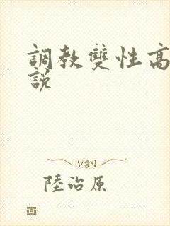 调教双性高h小说封面