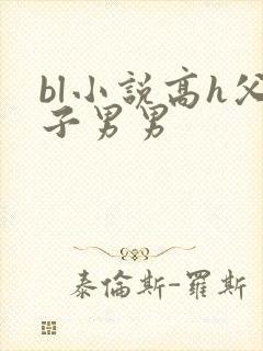 bl小说高h父子男男
