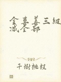 金喜善三级无删减全部