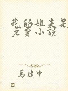 我的姐夫是太子免费小说封面