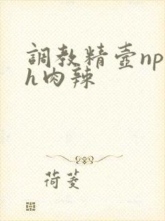 调教精壶np高h肉辣