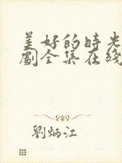 美好的时光电视剧全集在线观看免费