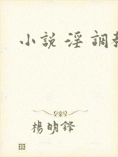 小说 淫 调教封面