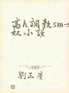 高h调教sm女奴小说