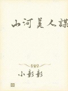山河美人谋/封面
