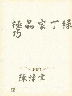 极品家丁绿帽巧巧