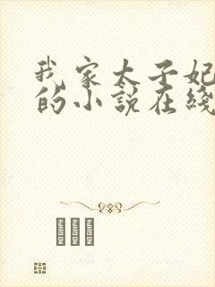 我家太子妃超凶的小说在线阅读