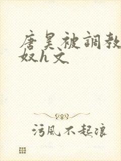 唐昊被调教成肉奴h文