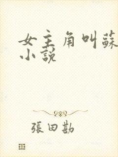 女主角叫苏泠的小说