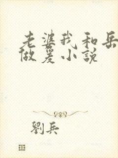 老婆我和岳三人做爰小说封面