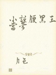 小说腹黑王爷喜当爹