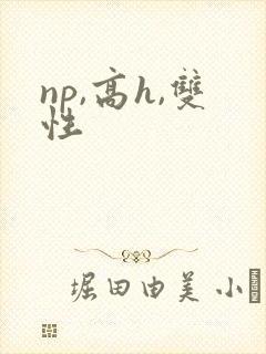 np,高h,双性