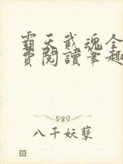 霸天武魂全文免费阅读笔趣阁