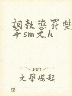 调教惩罚双性少年sm文h