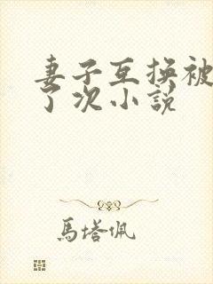 妻子互换被高潮了次小说