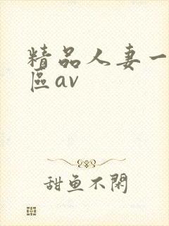 精品人妻一区二区av